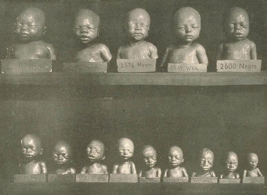 Советская евгеника 1920-х: как селекционировать Сверхчеловека