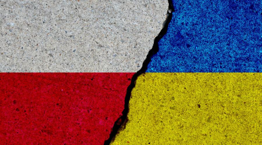 Польша и Украина: причины зернового конфликта | FAKEOFF