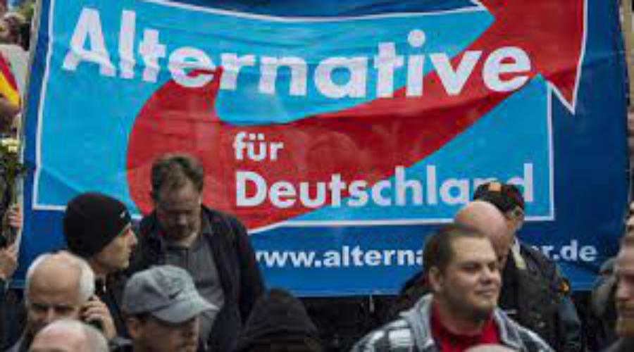 Связи ультраправых с Россией вызывают растущую тревогу в Германии | FAKEOFF